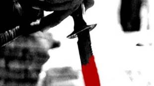 faridabad, faridabad woman dead, woman dead in faridabad, nri wife dead in faridabad, haryana murder, faridabad murder, india news