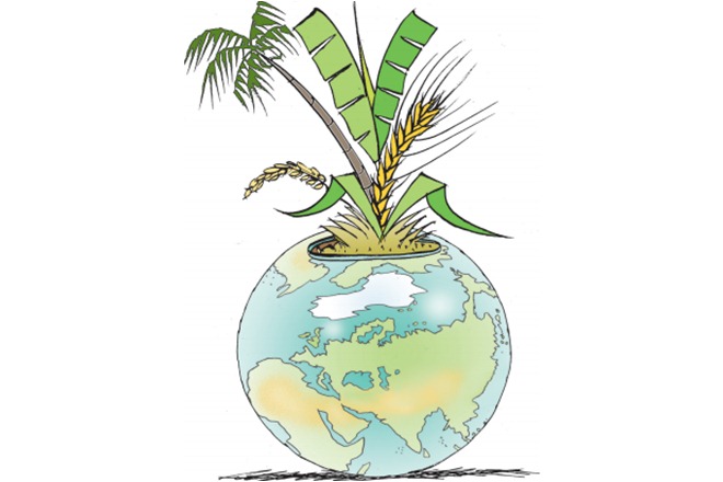 To provide for a population projected to reach 9.3 billion by 2050 and support changing dietary patterns, estimates are that food production will need to increase from the current 8.4 billion tonnes to almost 13.5 billion tonnes a year.