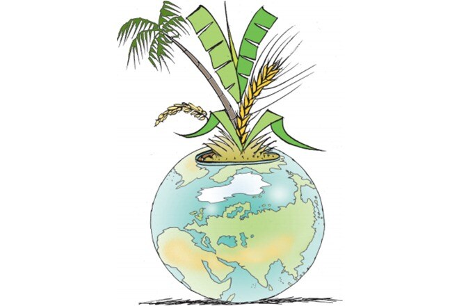 To provide for a population projected to reach 9.3 billion by 2050 and support changing dietary patterns, estimates are that food production will need to increase from the current 8.4 billion tonnes to almost 13.5 billion tonnes a year.