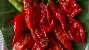 worlds hottest chilli pepper, hottest pepper, thunderclap headaches