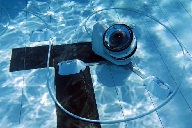 underwater camera, underwater video camera, best underwater camera, shrimp, shrimp camera, shrimp inspired camera, underwater navigation, bio camera, bio inspired camera