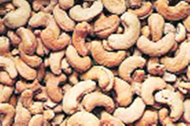 cashew nuts, cashew exports, vietnam, india, exports, trade