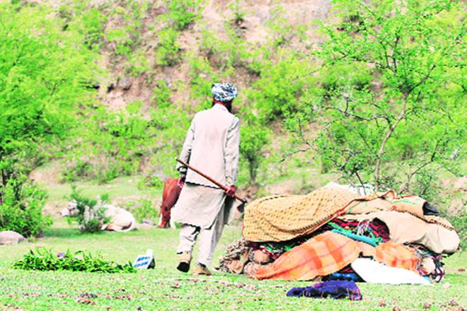 PM Modi, Kathua, Unnao, Prime Minister Narendra Modi, Supreme Court, Jammu High Court Bar Association and Kathua district bar association