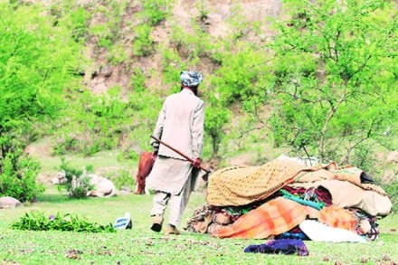PM Modi, Kathua, Unnao, Prime Minister Narendra Modi, Supreme Court, Jammu High Court Bar Association and Kathua district bar association