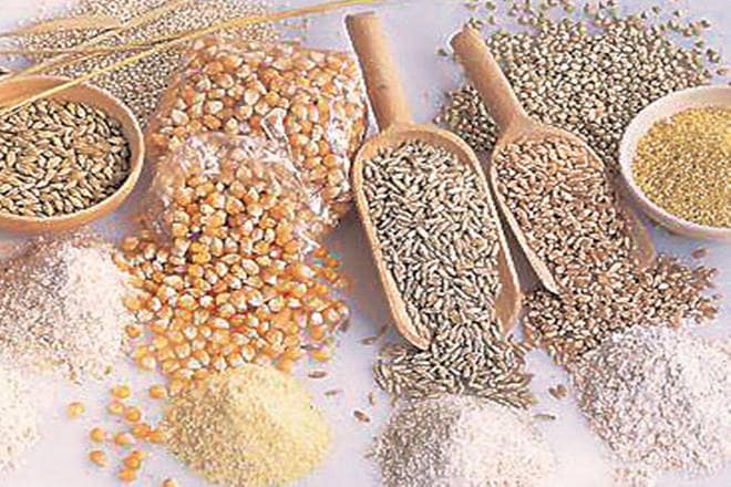 Nutri Cereals, coarse cereals, agriculture ministry, Minor Millets, rice Fox tail millet, Indian Council of Medical Research Nutri Cereals, coarse cereals, agriculture ministry, Minor Millets, rice Fox tail millet, Indian Council of Medical Research