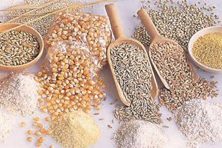 Nutri Cereals, coarse cereals,  agriculture ministry,  Minor Millets, rice Fox tail millet, Indian Council of Medical Research