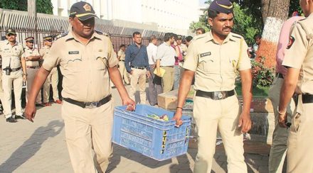 agriculture sector, agriculture industry, farming sector, economy agriculture sector, agriculture industry, farming sector, economy