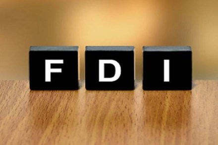 FDI, Foreign direct investment, FDI flows, manufacturing sector, FMCG