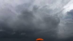 IMD, monsoon forecast, FMCG index