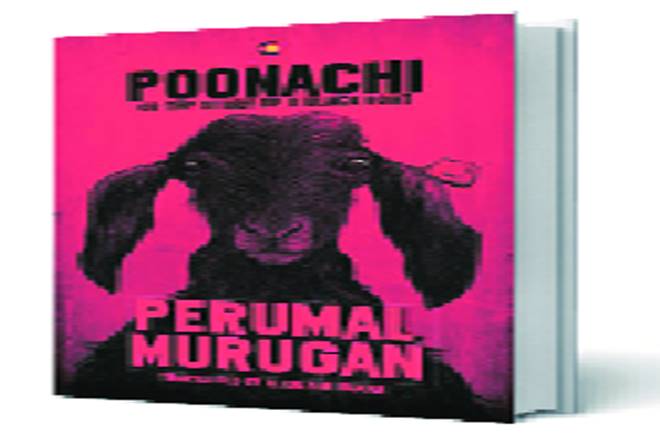 perumal murugan, poonachi, human greed, pyre