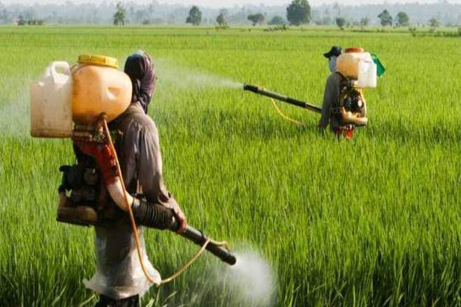 PESTICIDES, AGRICULTURE SECTOR, AGRICULTURE INDUSTRY