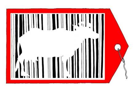new cattle trade rules, animal cruelty
