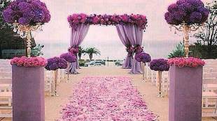 colour purple, purple, purple colour significance, Pantone, colour of the year,  International Women’s Day, new delhi, purple shade