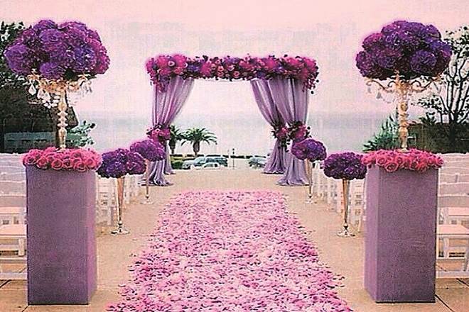 colour purple, purple, purple colour significance, Pantone, colour of the year,  International Women’s Day, new delhi, purple shade