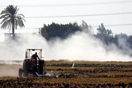 air pollution, Delhi air pollution, Delhi pollution, Delhi, Stubble burning, Agricultural fires, punjab, stubble burning season, NASA, Harvard, satellite air pollution, Delhi air pollution, Delhi pollution, Delhi, Stubble burning, Agricultural fires, punjab, stubble burning season, NASA, Harvard, satellite