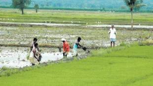 farmers protest, Rashtriya Kisan Mahasangh, farmers strike on june 1, farmers strike, Kisan Mahasangh, nationwide farmer strike, Yashwant Sinha,  Narendra Modi