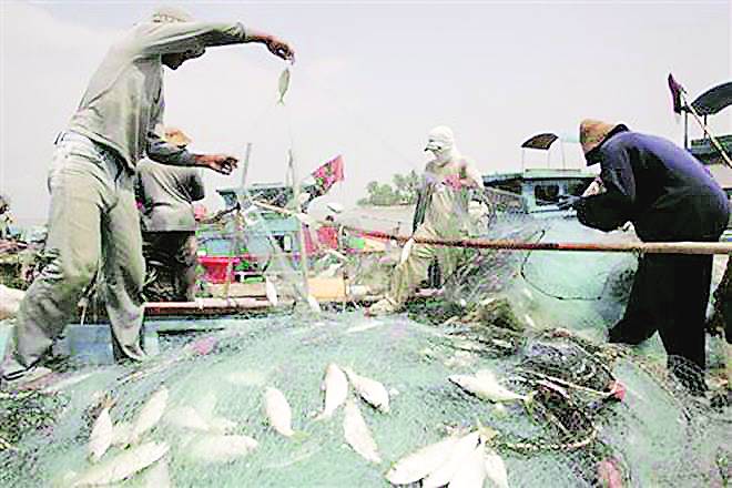 entral Marine Fisheries Research Institute, cmfri