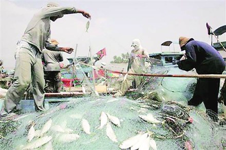 entral Marine Fisheries Research Institute, cmfri entral Marine Fisheries Research Institute, cmfri