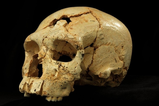 havildar alam bheg, revolt of 1857, 1857 revolt, sepoy mutiny 1857, british, british historian, london, kim wagner, skull of Havildar Alum Bheg, Havildar Alum Bheg skull, india