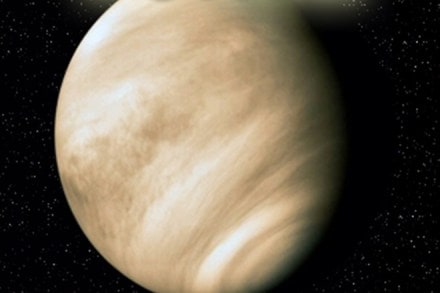 clouds of Venus, alien life, alien traced, mars, NASA, US, earth, microorganisms, bateria, algae blooms, venus atmosphere, mars, news on NASA