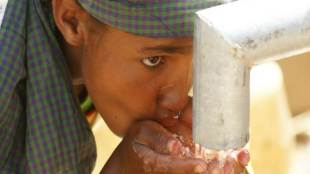 Uttar Pradesh, Shamli, water, clean drinking water, Hepatitis C, cancer, Kairana Meat Plant