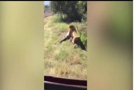 Source: Daily Mail Source: Daily Mail