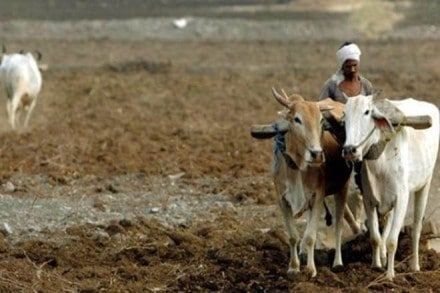 telangana govt, farmer scheme, MNREGA, Farm subsidies in cash,  K Chandrasekhar Rao
