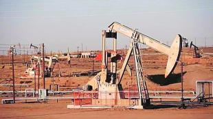 GEM Laboratories, GEM, Bengaluru, bangalore, DSF policy