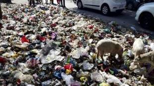 Gurugram, Swachh Bharat School, gurugram boy swachh bharat initiative, narendra modi, pm modi, india news