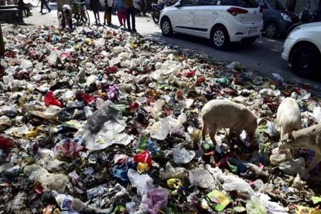 Gurugram, Swachh Bharat School, gurugram boy swachh bharat initiative, narendra modi, pm modi, india news Gurugram, Swachh Bharat School, gurugram boy swachh bharat initiative, narendra modi, pm modi, india news