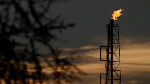 oil prices, brent crude prices today, wti prices today, brent crude level, wit crude level, venezuela crisis, trump-iran tension, crude oil prices, trump nuclear deal iran