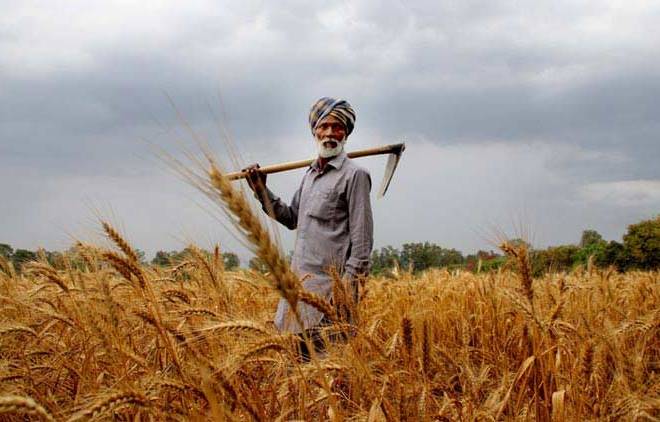 Agri research, education funding, Icrier Study, India