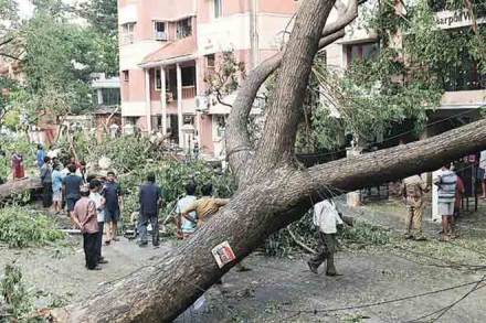  trees uprooted, rain, strong winds,Hyderabad