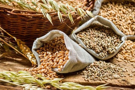  PDS grains, Ram Vilas Paswan, Foodgrains, PDS, NFSA, National Food Security Act