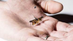 drone, indian, wireless drone, insect size drone, small drone, allen school networks, robotics, robofly