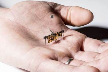 drone, indian, wireless drone, insect size drone, small drone, allen school networks, robotics, robofly