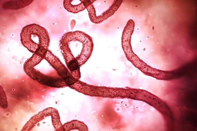 ebola virus, ebola attack, africa, DRC, WHO