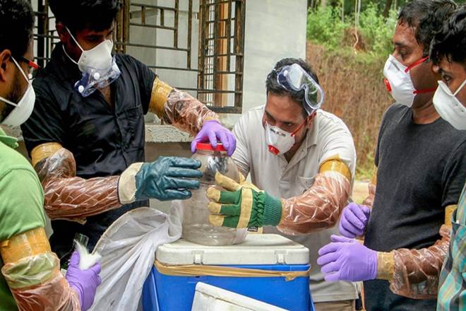 Nipah virus, news on Nipah virus, kerala, latest news on Nipah virus, kozhikode, Thiruvananthapuram, J P Nadda Nipah virus, news on Nipah virus, kerala, latest news on Nipah virus, kozhikode, Thiruvananthapuram, J P Nadda