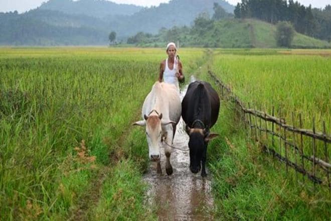 As many as 22 states have adopted it in some form, yet it failed to transform the agri-marketing structure in India.