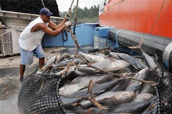Maharashta, fish, fishing, sea food, farming, fish farming, Central Marine Fisheries Research Institute, Fisheries