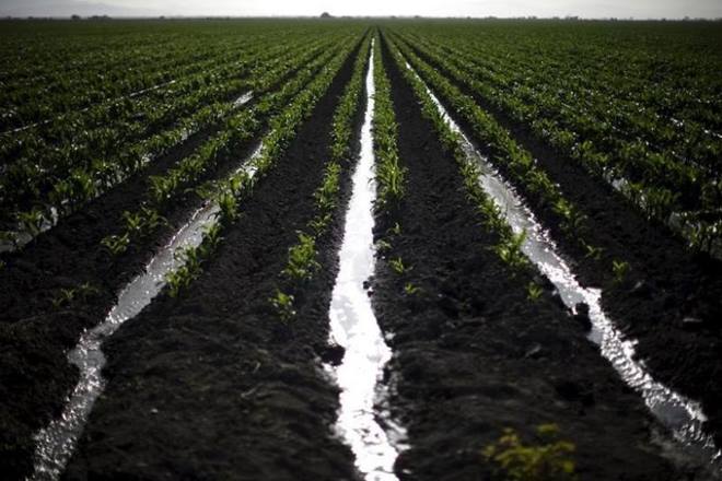 Jain Irrigation Systems, Vidarbha region, Maharashtra, project, farmers Jain Irrigation Systems, Vidarbha region, Maharashtra, project, farmers