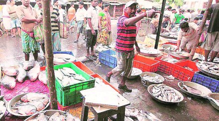 mpeda, asia mpeda, asia