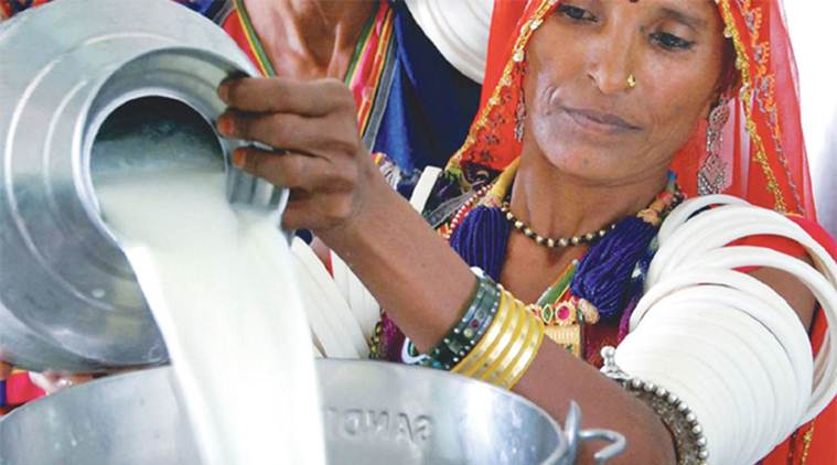 "‘Adulterants’ is a broad category and even water in milk will be called an adulterant, but that doesn’t mean it is unsafe milk," says FSSAI CEO.