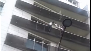 French Spiderman, real life Spiderman, Spider man, Emmanuel macron, france, paris, Spiderman in paris, amazing Spiderman, Mamoudou Gassama, Mali, Anne hidalgo, french citizenship