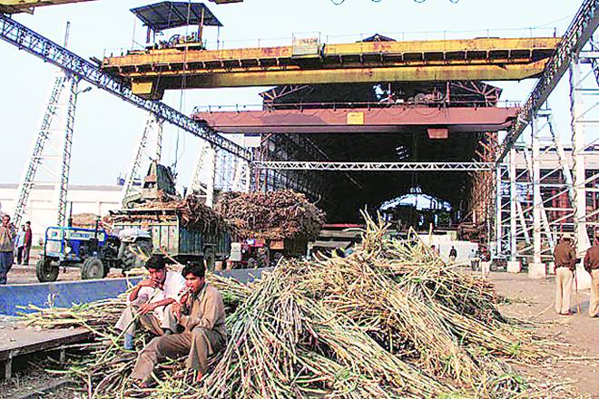 Sugar production , sugar industry, sugar Sugar production , sugar industry, sugar