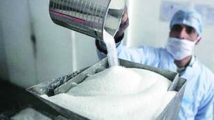 sugar, sugar industry