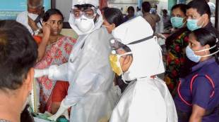 Nipah virus, nippa virus latest news, Nipah virus sources, Nipah virus in chicken, incubation period of Nipah virus, Nipah virus chicken, Nipah virus latest update, fruit bats images, Nipah virus symptoms, Nipah symptoms, Nipah virus news