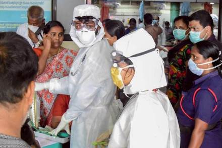 Nipah virus, nippa virus latest news, Nipah virus sources, Nipah virus in chicken, incubation period of Nipah virus, Nipah virus chicken, Nipah virus latest update, fruit bats images, Nipah virus symptoms, Nipah symptoms, Nipah virus news Nipah virus, nippa virus latest news, Nipah virus sources, Nipah virus in chicken, incubation period of Nipah virus, Nipah virus chicken, Nipah virus latest update, fruit bats images, Nipah virus symptoms, Nipah symptoms, Nipah virus news