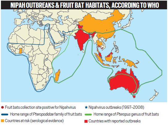 Nipah virus, virus, kerala