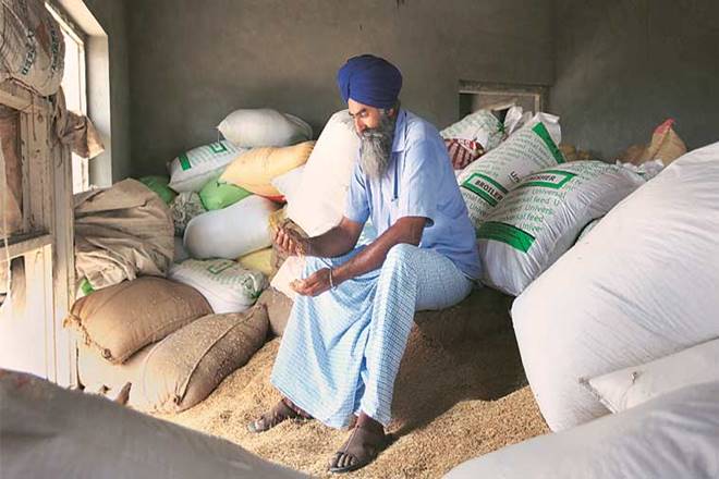 Madhya Pradesh's basmati battle seems political